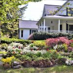 Décoration de jardin originale : Top 6 des meilleurs styles à adopter