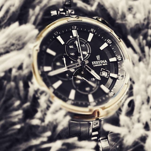 Festina