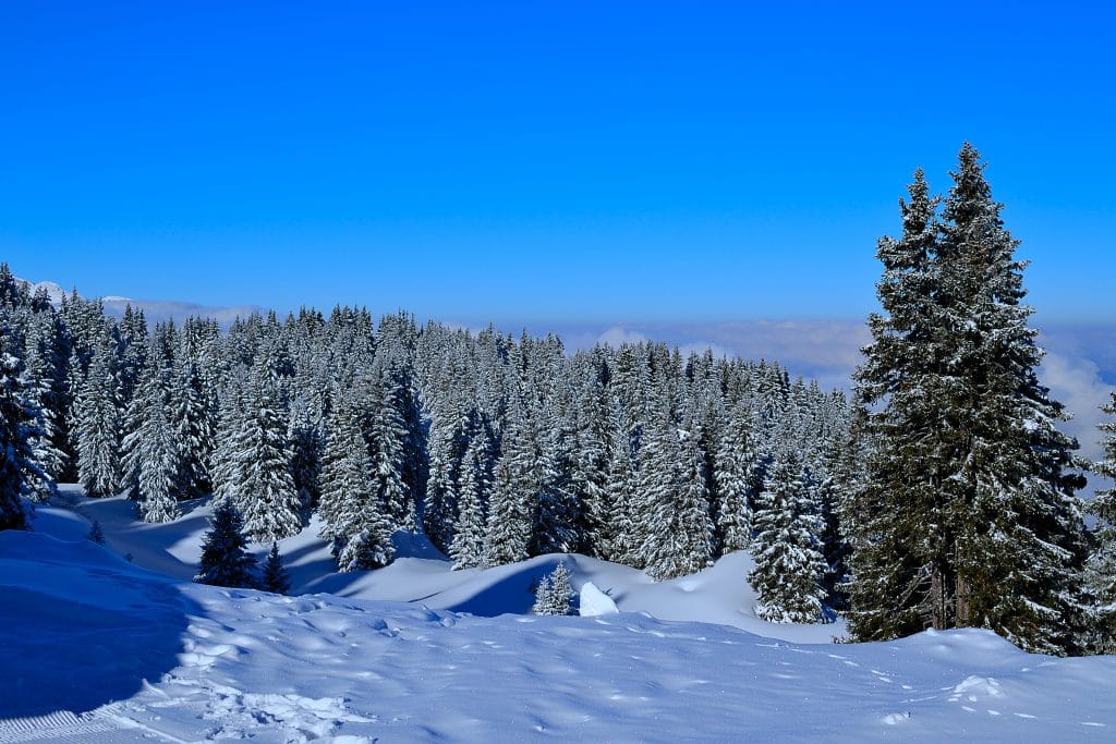 Quelles autres activités faire à la montagne ?