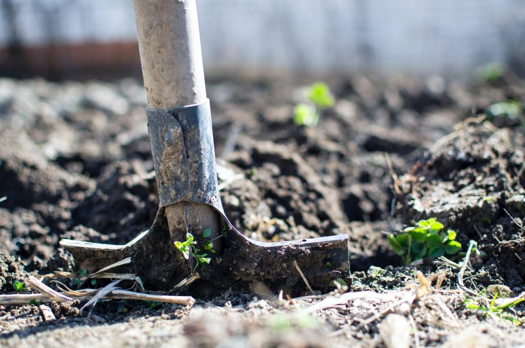 Comment réussir l’aménagement d’un petit jardin ?