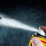 Pourquoi utiliser un insecticide professionnel ?