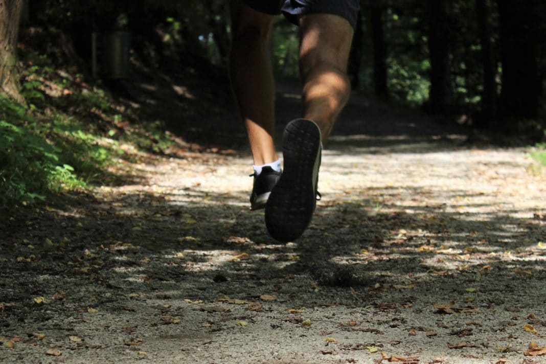 découvrir le trail