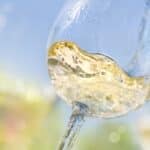 Le vin Chardonnay : avec quoi se marie-t-il bien ?