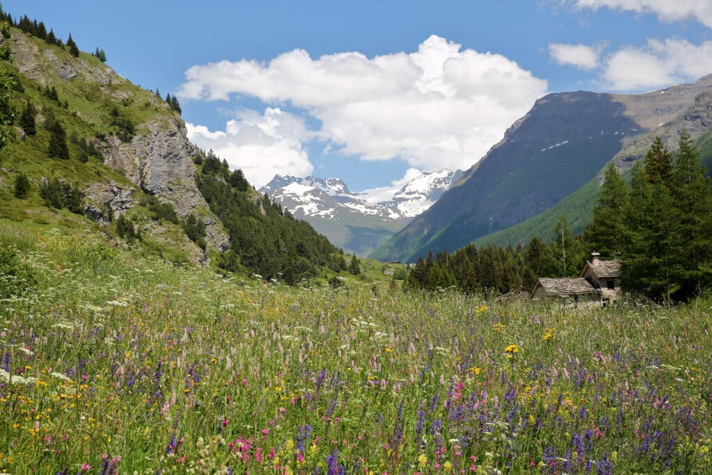 Pourquoi choisir de passer ses vacances à Val Cenis ?