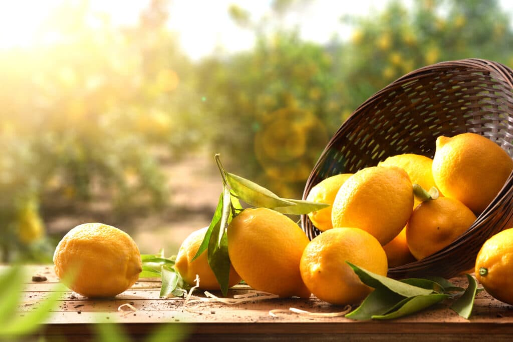 Le citron