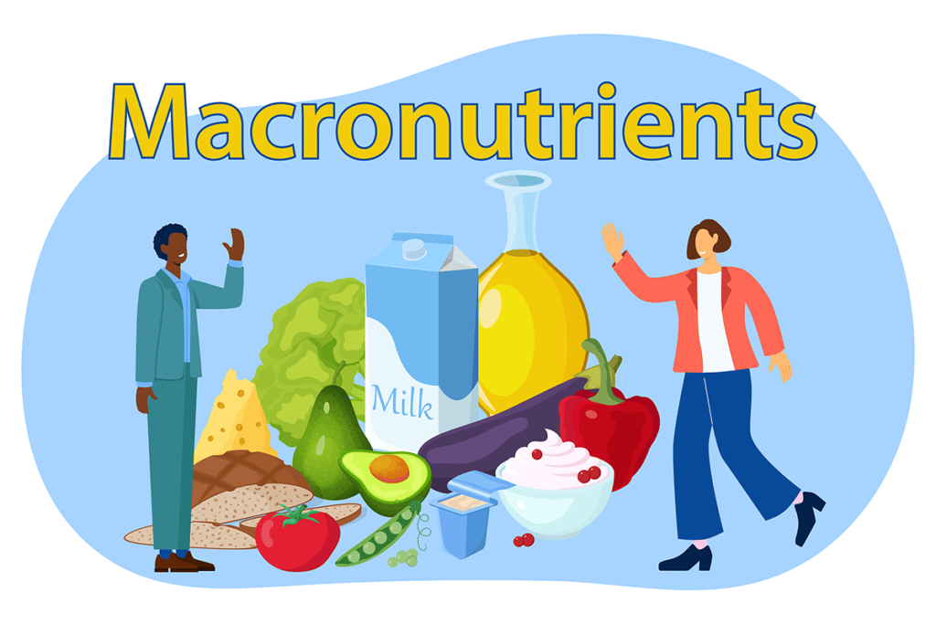 Qu'est-ce qu'un macronutriment ?