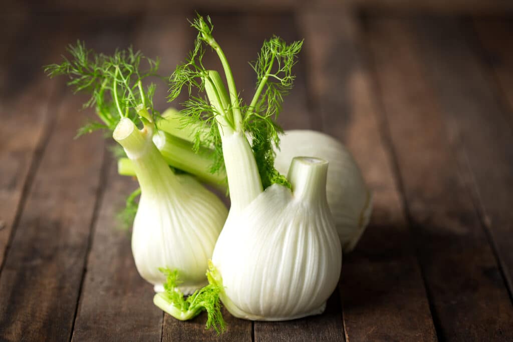 Le fenouil