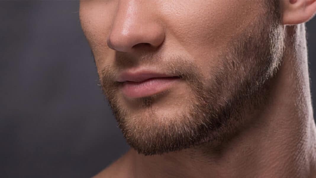 Quels sont les différents types de barbe ?