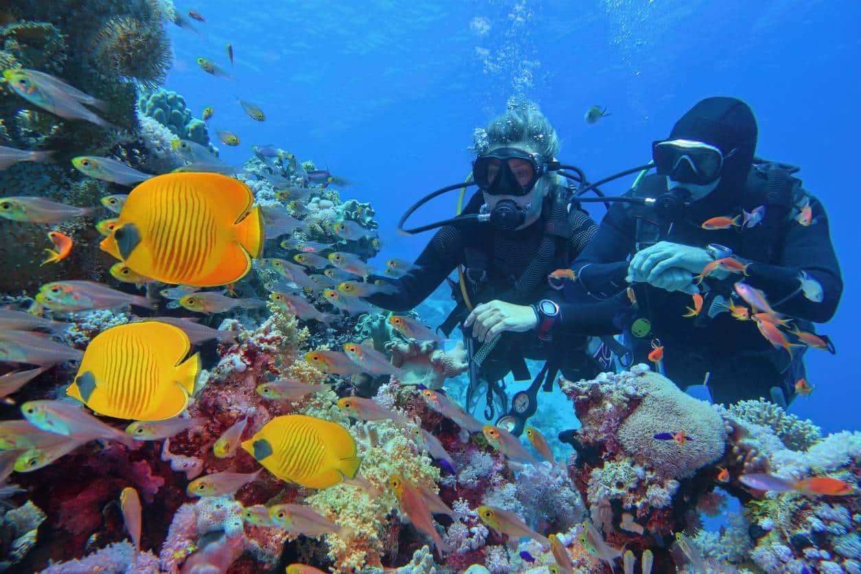 plongée sous marine activité nautique