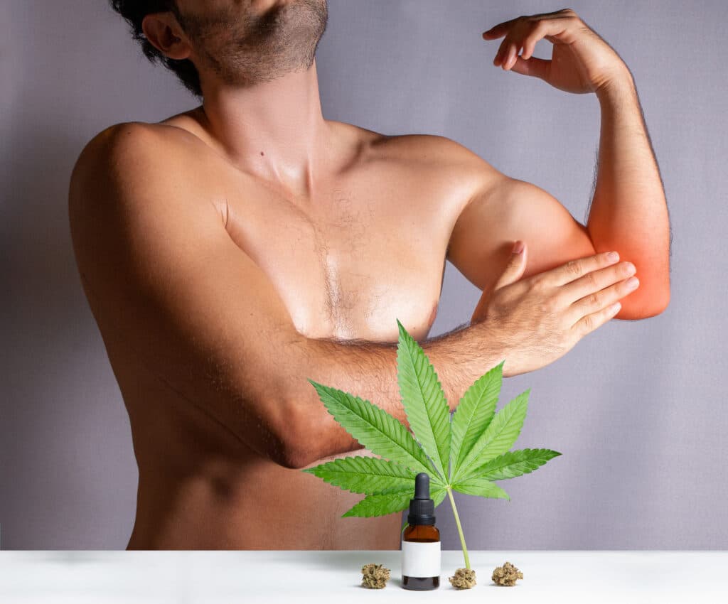 Les vertus de l’huile de CBD sur la santé 