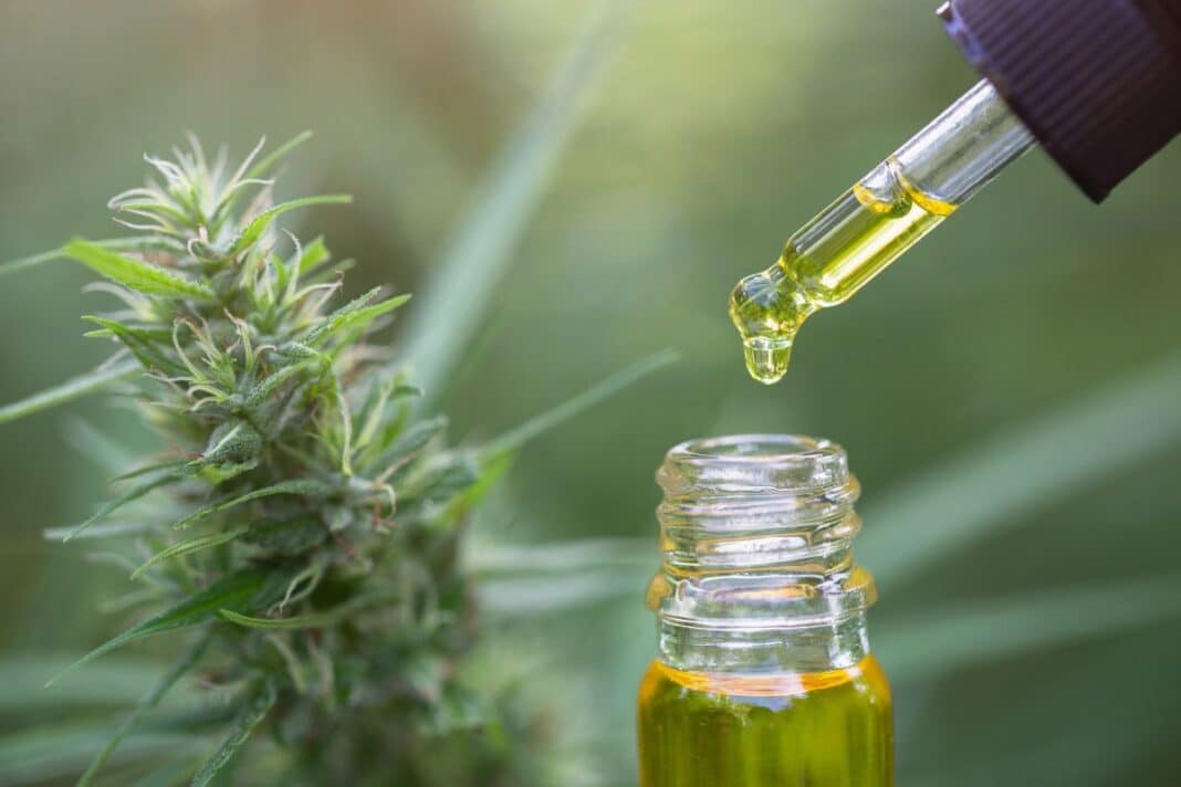 Tout savoir sur le CBD : utilisation et consommation